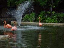 2003/October/Cancun/Iberostar/DSC01118