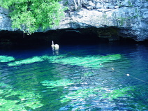 2003/October/Cancun/Snorkeling/DSC01255