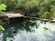 2003/October/Cancun/Snorkeling/DSC01261