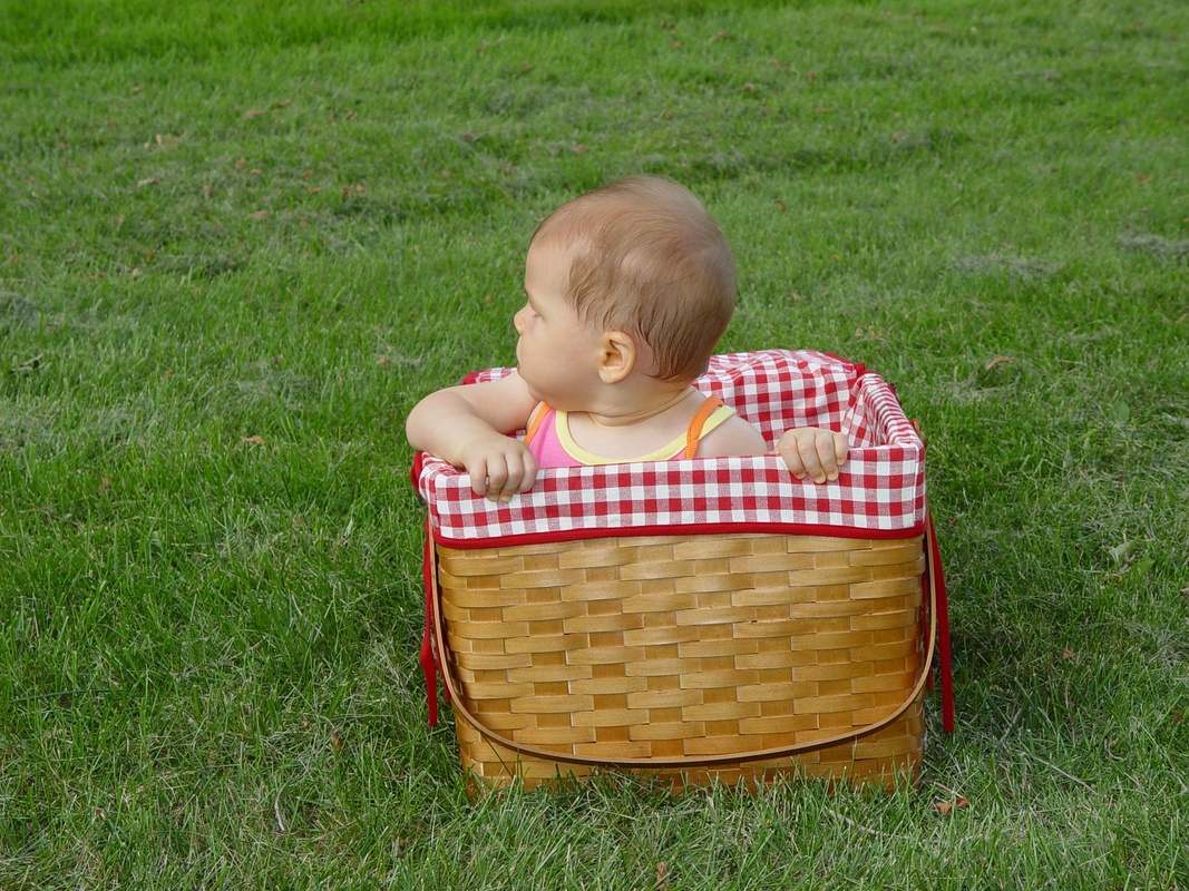 2003/August/Julia-GardenBasket/DSC00942