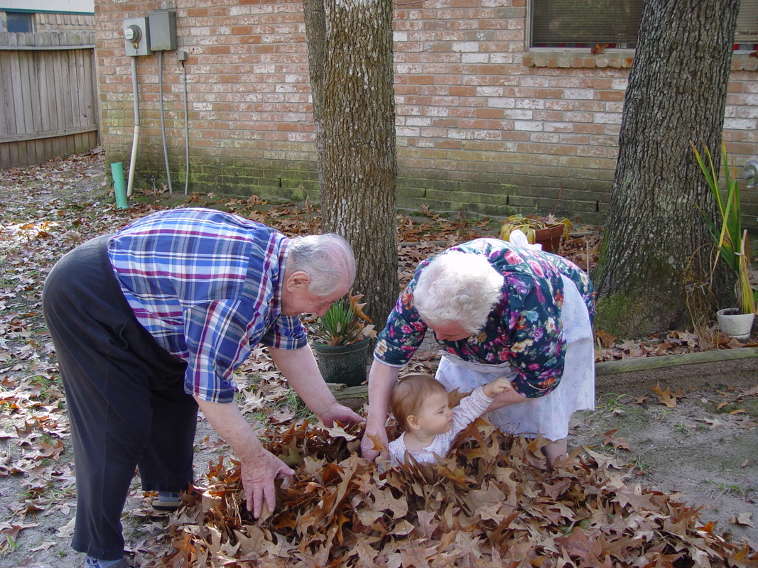 2003/December/TX/Home/Leaves/DSC01692