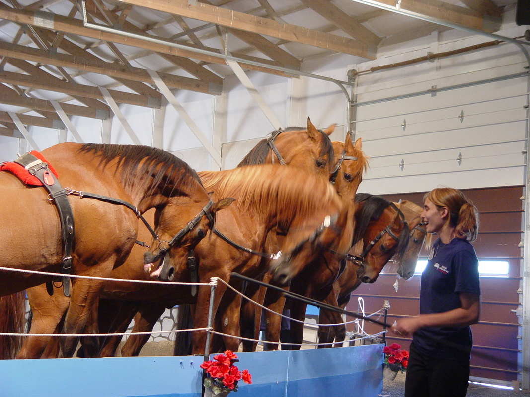 2004/06/LakeGeneva/PettingZoo/DSC02257