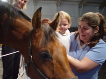 2004/06/LakeGeneva/PettingZoo/DSC02260