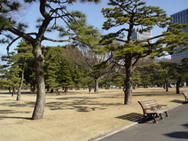 2005/01/Tokyo/ImperialPalaceGardens/DSC03521