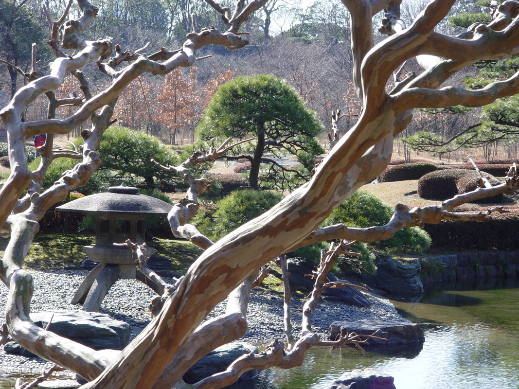 2005/01/Tokyo/ImperialPalaceGardens/DSC03546