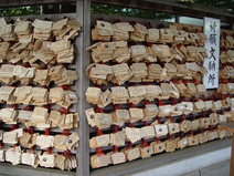 2005/01/Tokyo/YoyogiPark-MeigiJinguShrine/DSC03643