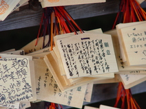 2005/01/Tokyo/YoyogiPark-MeigiJinguShrine/DSC03644