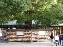 2005/01/Tokyo/YoyogiPark-MeigiJinguShrine/DSC03657