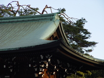 2005/01/Tokyo/YoyogiPark-MeigiJinguShrine/DSC03664