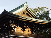 2005/01/Tokyo/YoyogiPark-MeigiJinguShrine/DSC03673