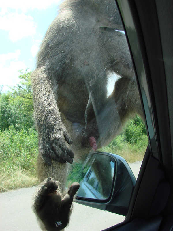 2006/06/Canada/Safari/DSC04381