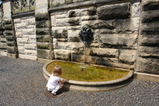 2006/08/Asheville/BiltmoreEstate/DSC04956