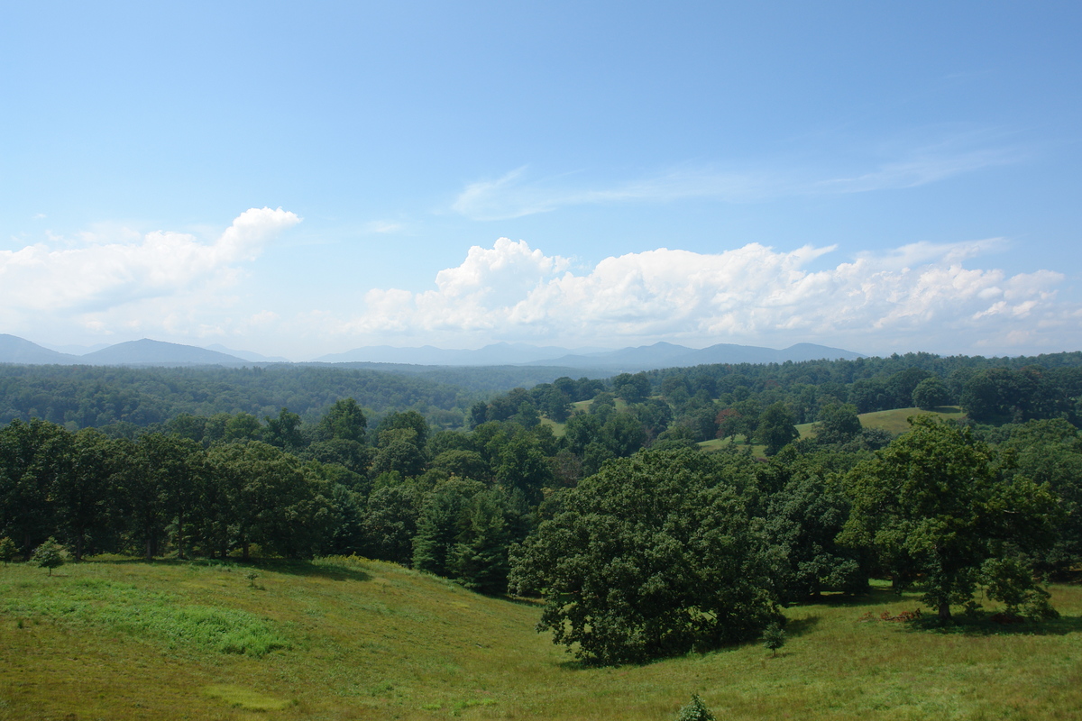 2006/08/Asheville/BiltmoreEstate/DSC04960