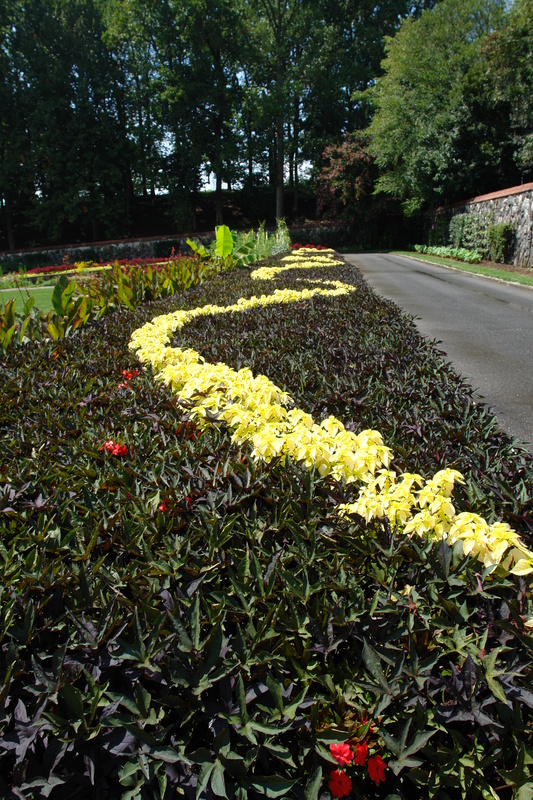 2006/08/Asheville/BiltmoreEstate/DSC04966