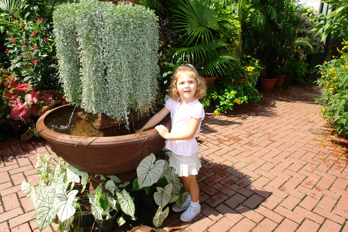 2006/08/Asheville/BiltmoreEstate/DSC04979