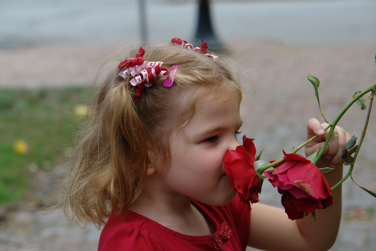 2006/08/Asheville/DSC04921