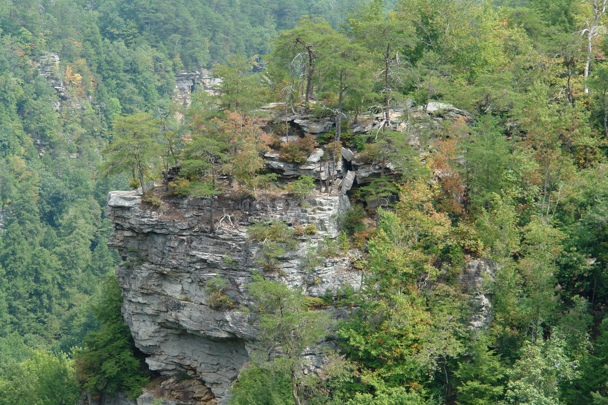 2006/08/FallsCreekFalls/DSC04781