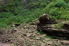 2006/08/FallsCreekFalls/DSC04803