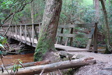 2006/08/FallsCreekFalls/DSC04832