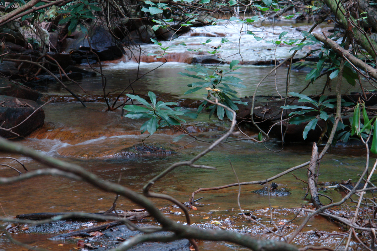 2006/08/FallsCreekFalls/DSC04835