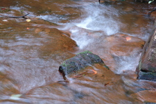 2006/08/FallsCreekFalls/DSC04839