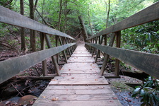 2006/08/FallsCreekFalls/DSC04843