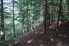 2006/08/FallsCreekFalls/DSC04851