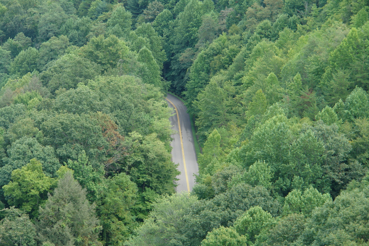 2006/08/Smokies/Gatlingburg/OberGatlingburg/DSC05128