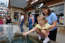 2006/08/Smokies/Gatlingburg/DSC05138