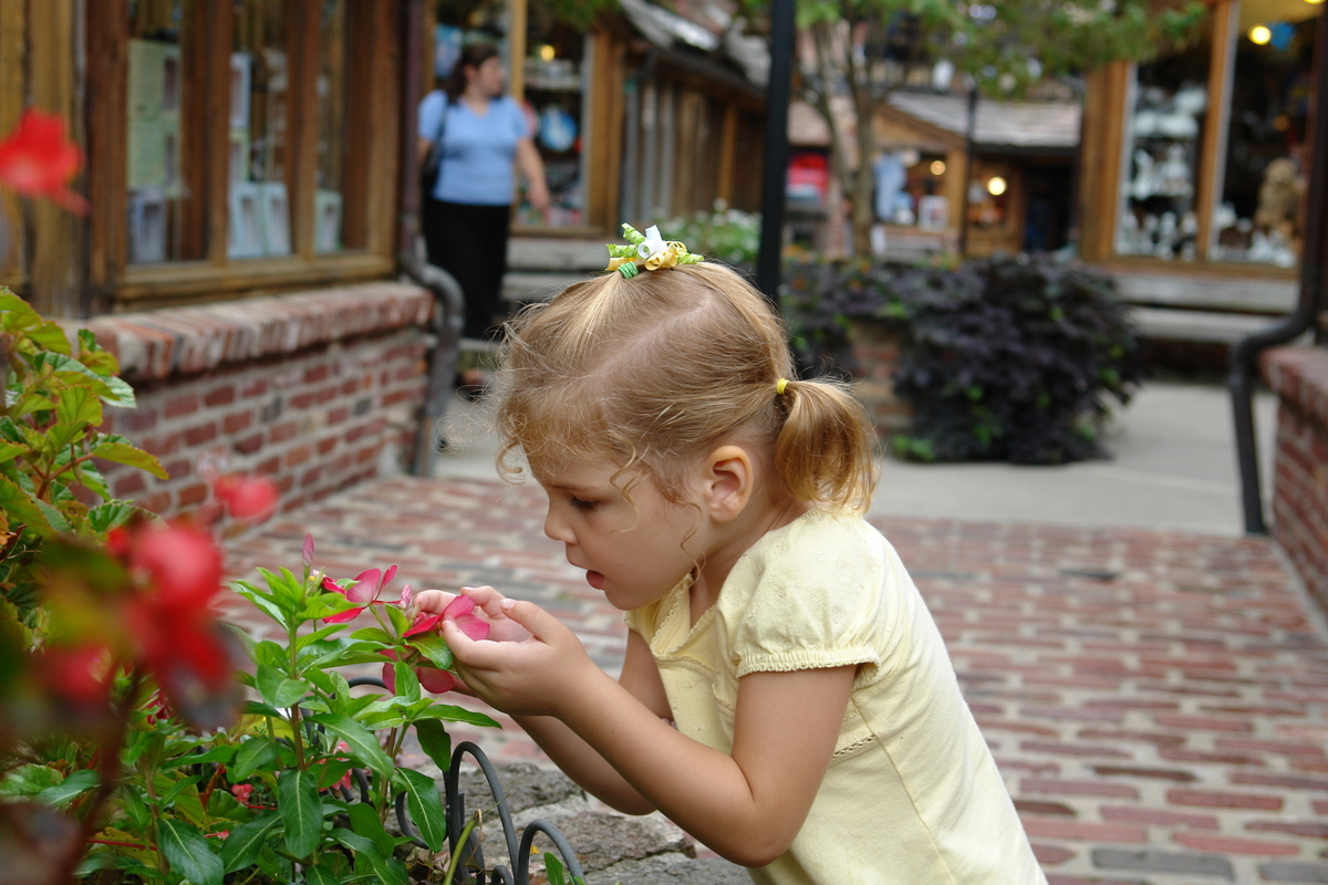 2006/08/Smokies/Gatlingburg/DSC05149