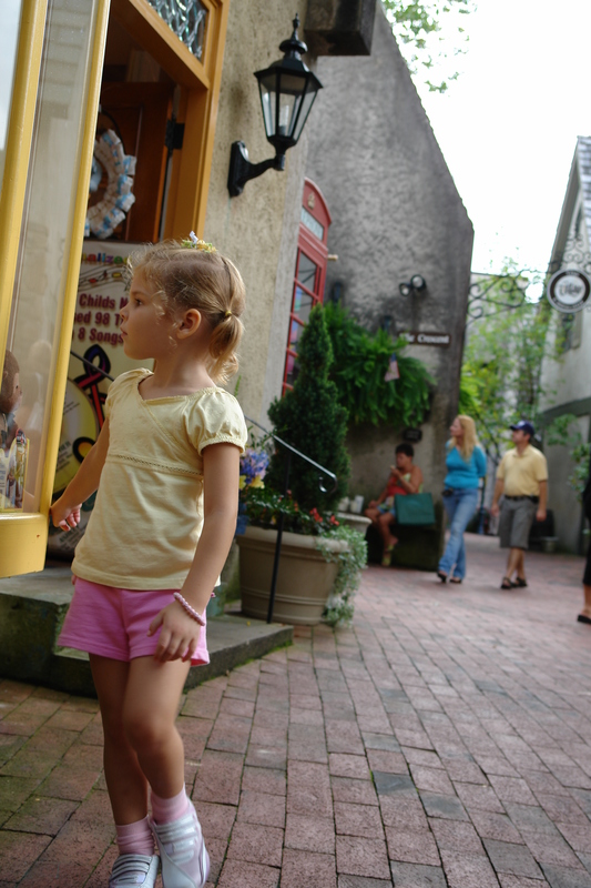 2006/08/Smokies/Gatlingburg/DSC05179