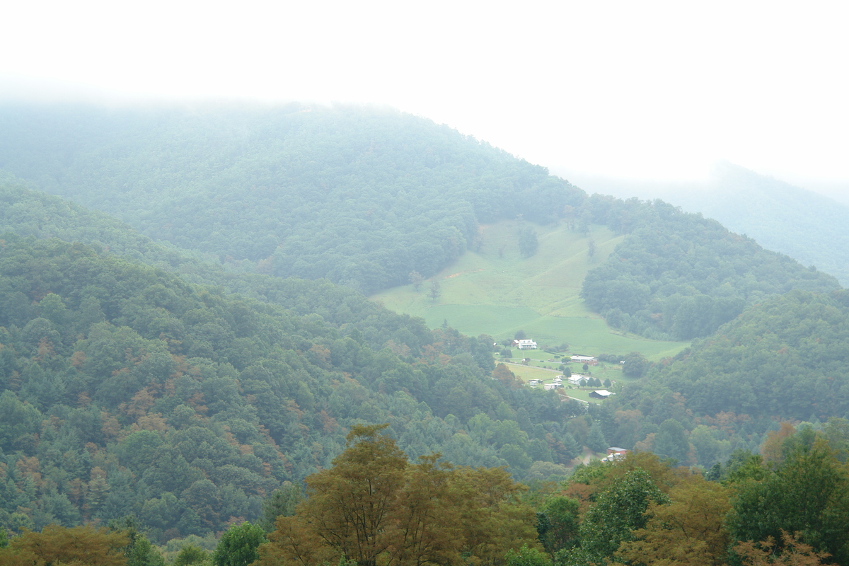 2006/08/Smokies/DSC04996