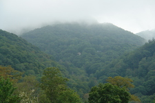 2006/08/Smokies/DSC05003