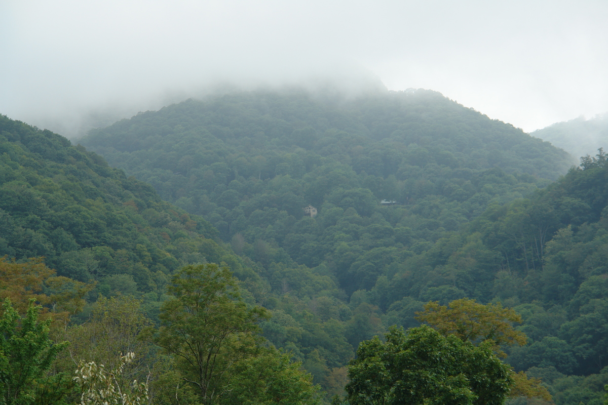 2006/08/Smokies/DSC05003