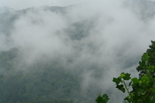 2006/08/Smokies/DSC05021