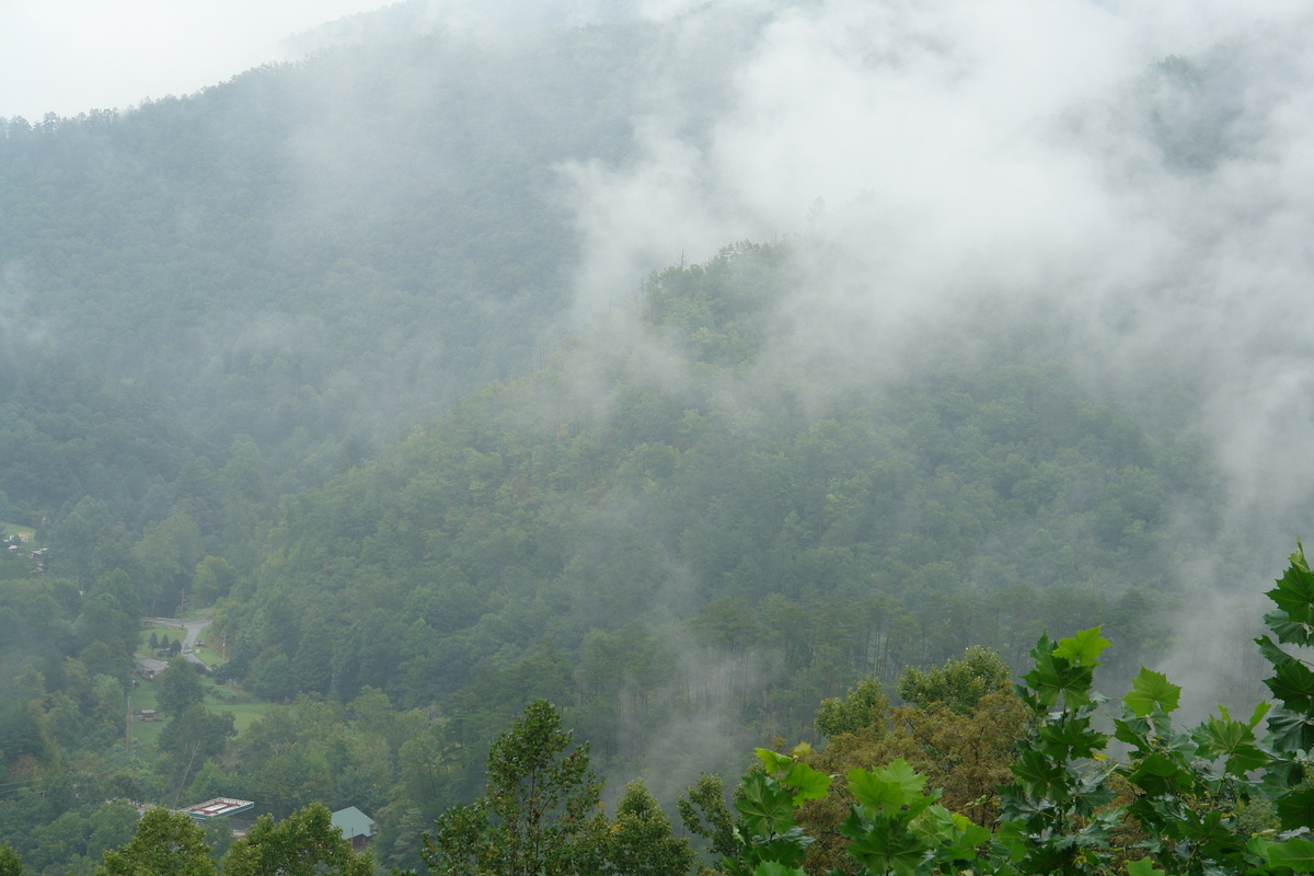 2006/08/Smokies/DSC05022