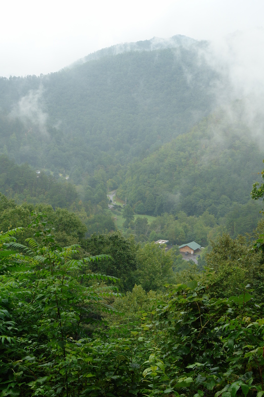 2006/08/Smokies/DSC05031