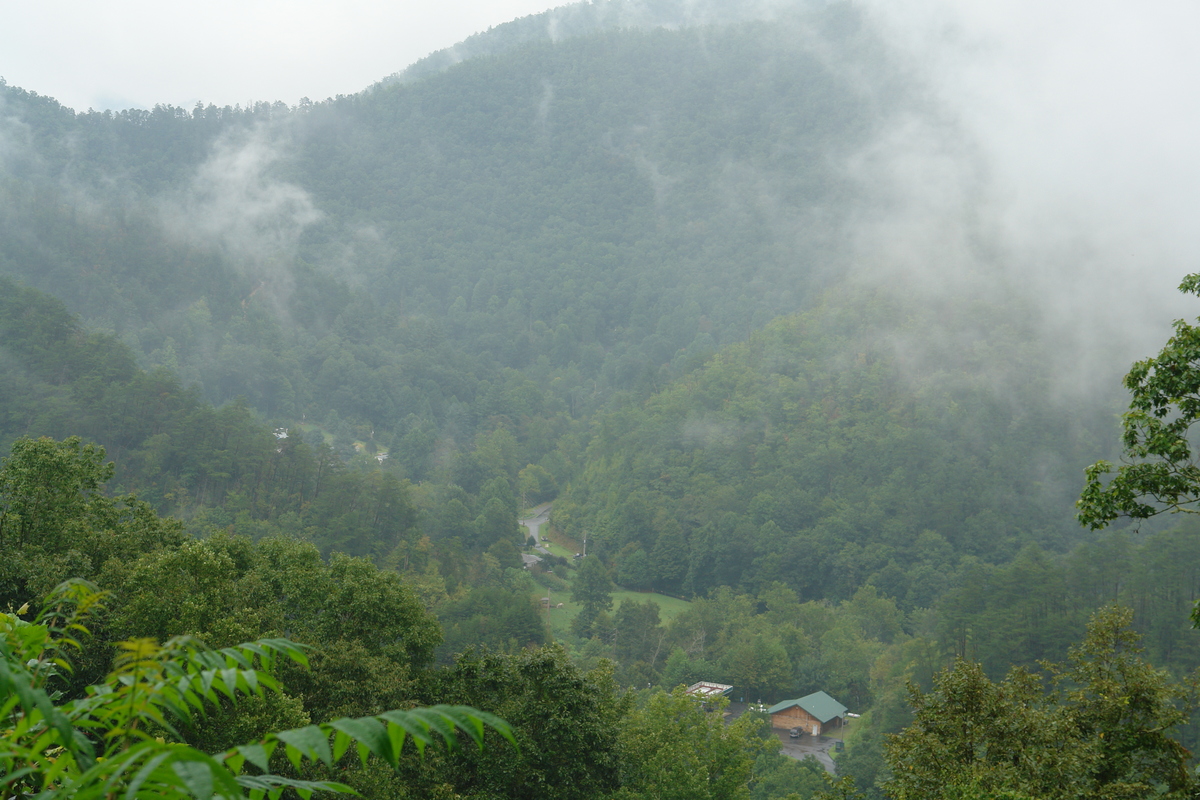 2006/08/Smokies/DSC05033