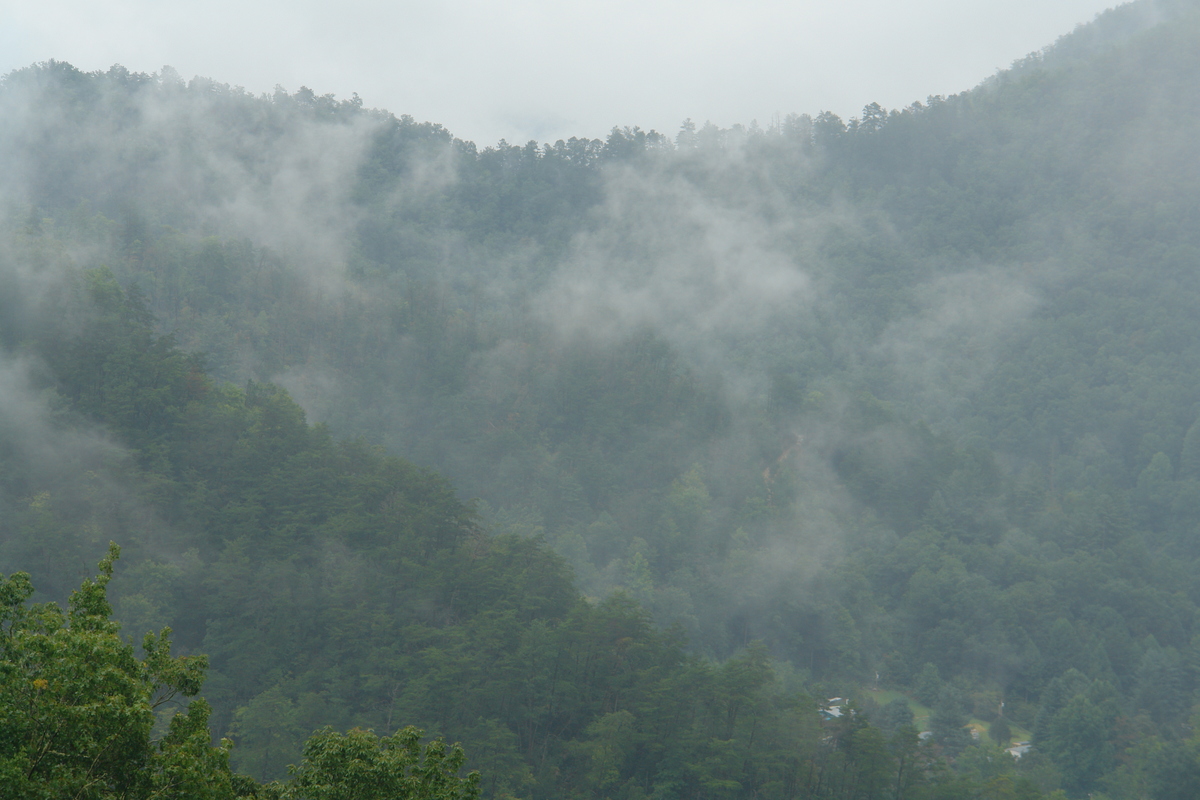 2006/08/Smokies/DSC05036