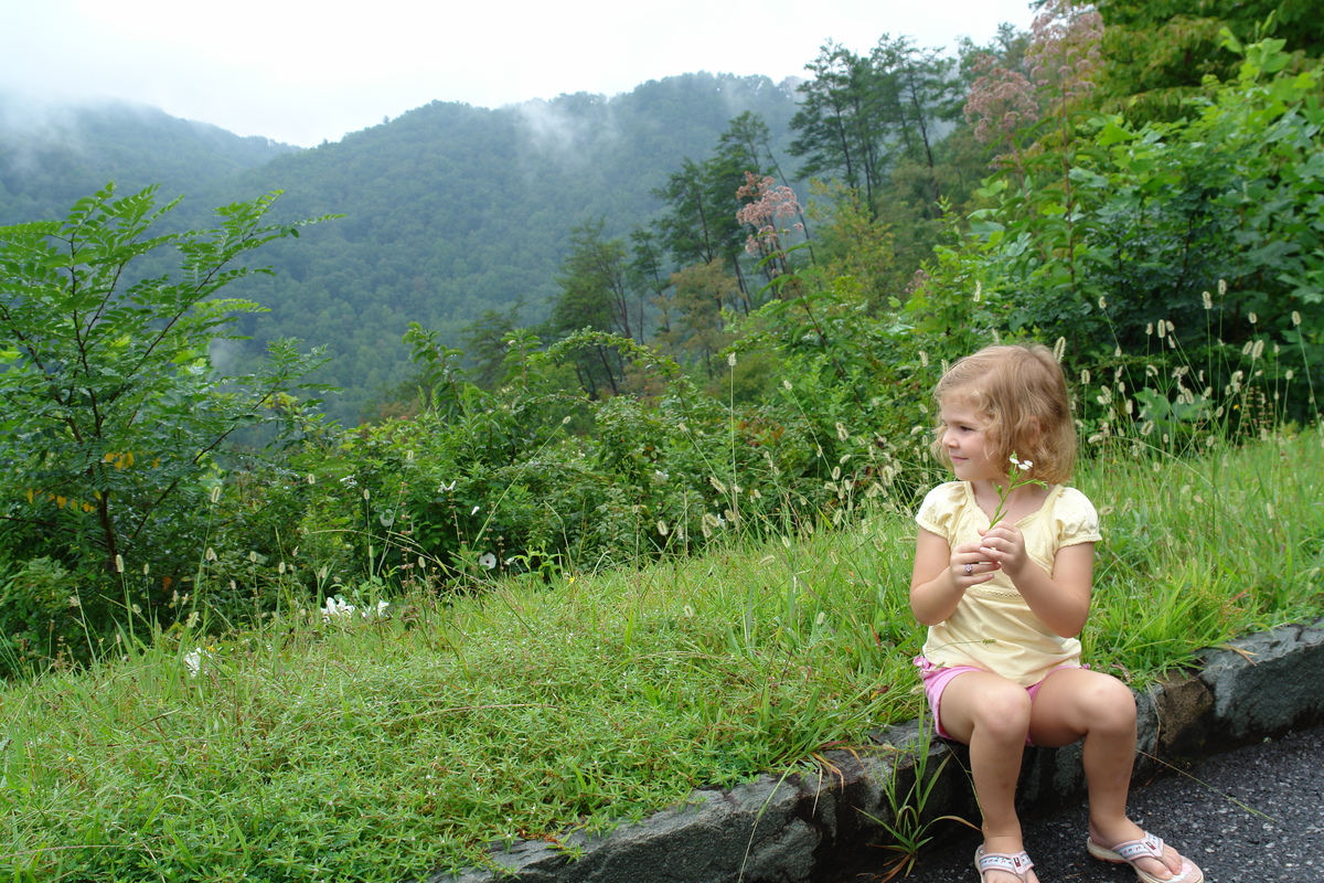 2006/08/Smokies/DSC05052