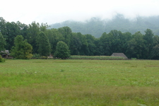 2006/08/Smokies/DSC05059