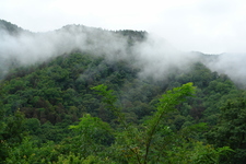 2006/08/Smokies/DSC05063