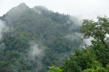 2006/08/Smokies/DSC05066