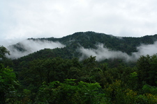 2006/08/Smokies/DSC05068