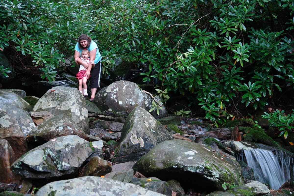 2006/08/Smokies/ShortHike/DSC05217