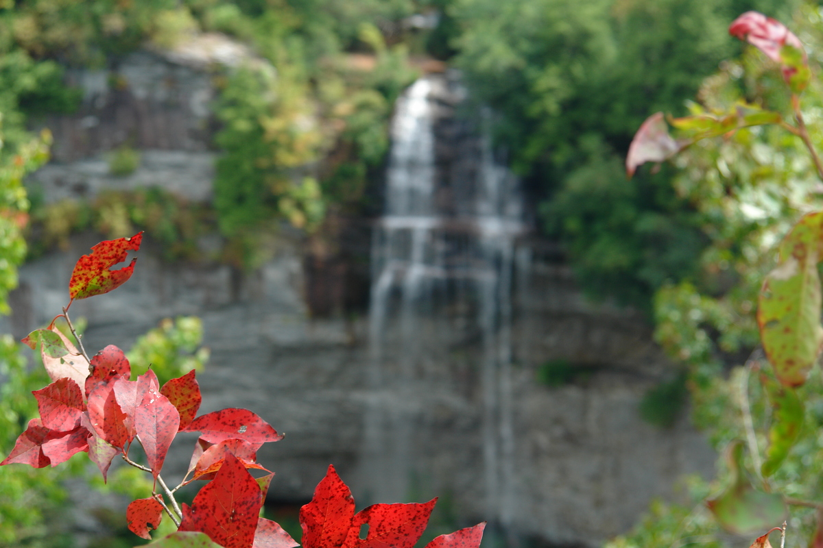 2006/08/FallsCreekFalls/DSC04773