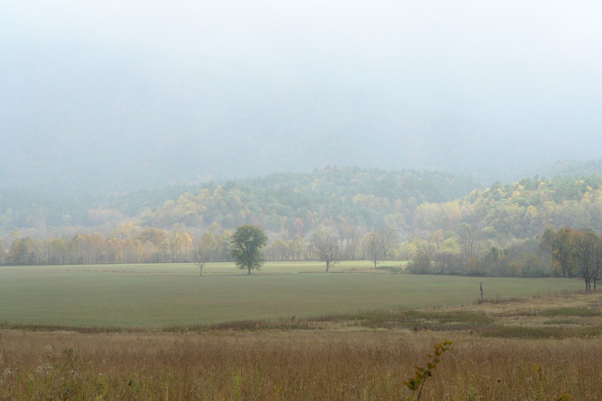 2007/10/Smokies/AbramsFalls/DSC07912