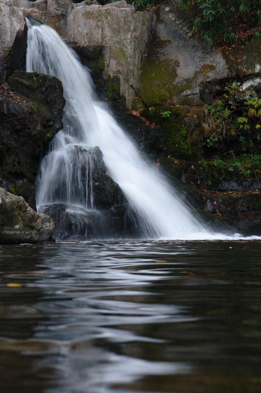 2007/10/Smokies/AbramsFalls/DSC07977