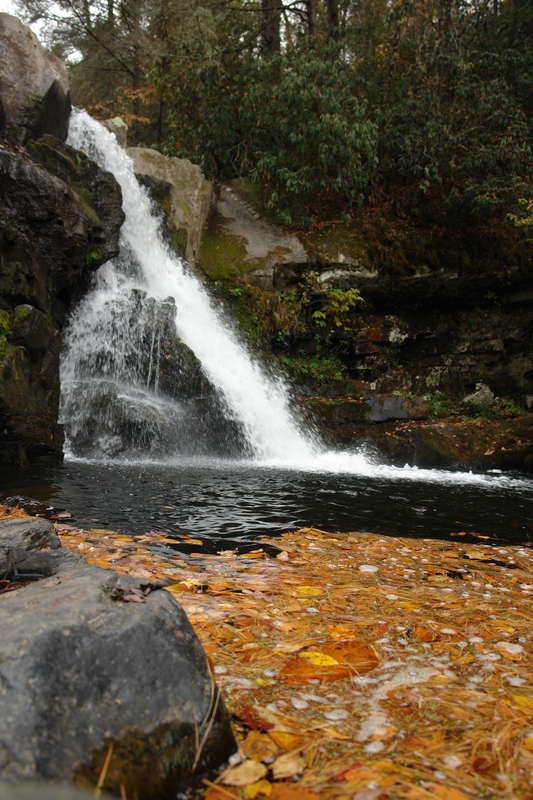 2007/10/Smokies/AbramsFalls/DSC07980