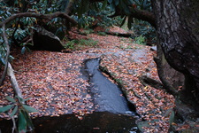 2007/10/Smokies/AbramsFalls/DSC07994